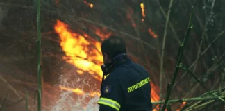 Φωτιά στον Κορυδαλλό – Σηκώθηκε ελικόπτερο