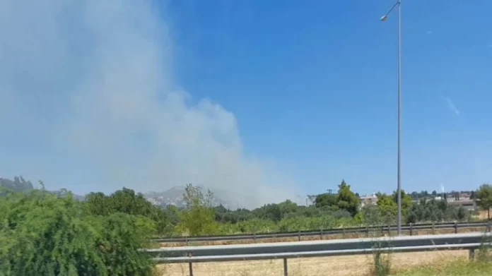 Φωτιά στη λεωφόρο Μαραθώνος