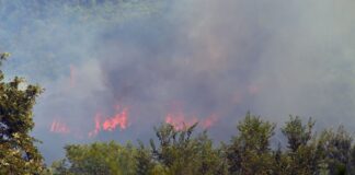 Καβάλα: Πυρκαγιά σε αγροτοδασική έκταση κοντά στην Κηπιά Παγγαίου (φωτο)