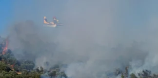 Οριοθετήθηκαν οι φωτιές σε Πύλο, Γύθειο και Ασπρόπυργο