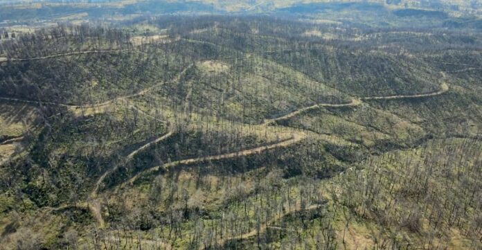 Το iEidiseis στην Βόρεια Εύβοια: Οι μαρτυρίες των ξεχασμένων πρωταγωνιστών – Δείτε το ντοκιμαντέρ