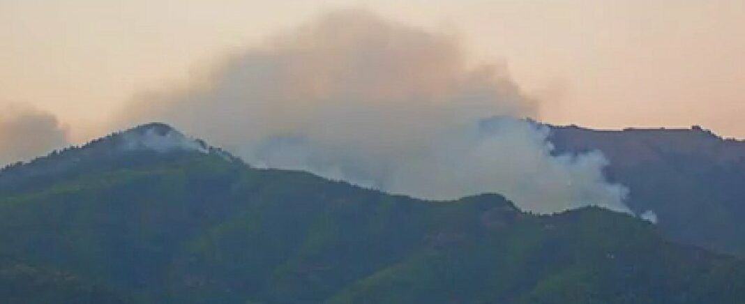 xoris-titlo_252863_334892_type13262