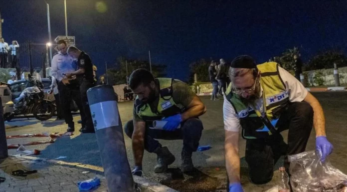 Τουρκία: Οπαδός εισέβαλε στο γήπεδο και κλώτσησε παίκτες της Μπεσίκτας— (VIDEO)