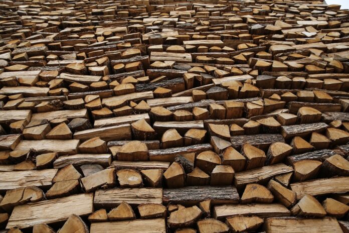 Θεσσαλονίκη: Έκλεψαν 20 τόνους καυσόξυλα από το Κοινοτικό Δάσος Λιβαδίου