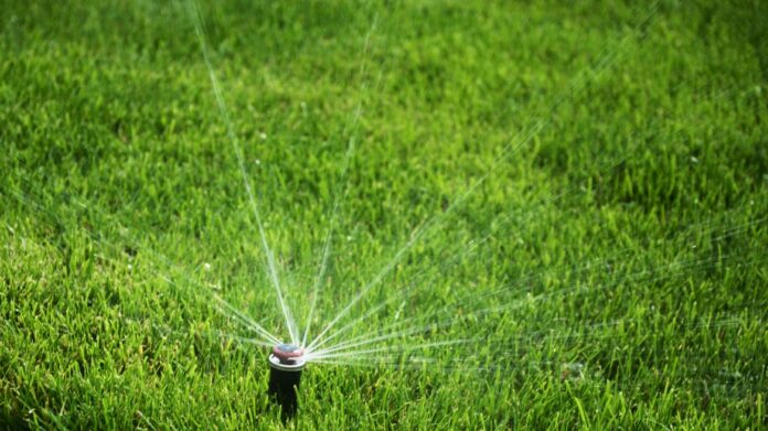 Τρίκαλα: Ξήλωσαν εκατοντάδες μπεκ ποτίσματος