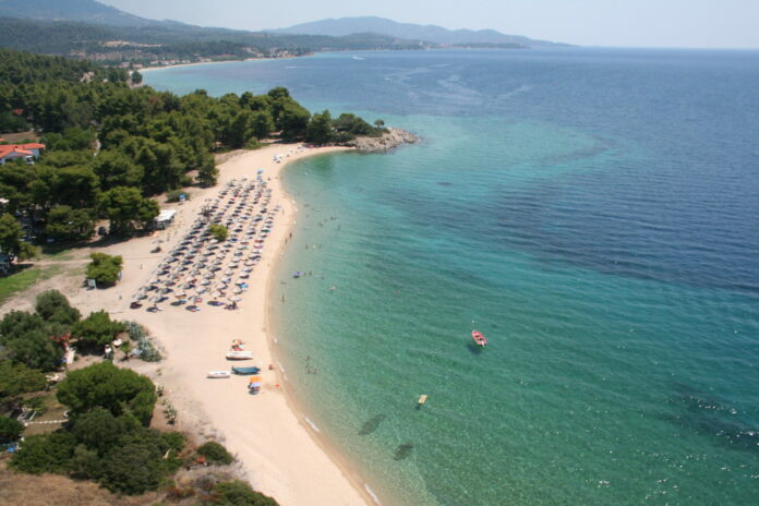 Χαλκιδική: Έστησαν beach bar σε αναδασωτέα περιοχή – Την όργωσαν με τρακτέρ