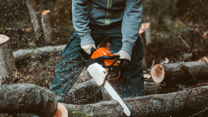 Τραγωδία στη Λάρισα: Καταπλακώθηκε από το δέντρο που έκοβε – Νεκρός 58χρονος