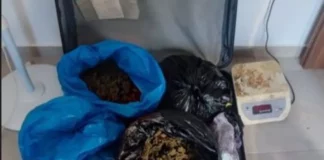 Ηράκλειο: Οι συλλήψεις για αλισβερίσι οδήγησαν σε πεντέμισι κιλά κάνναβης