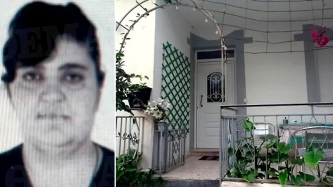 oikiaki_voithos_rodos_arthro