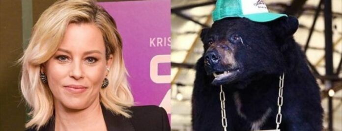 Αρκούδα έφαγε 40 σακούλες κοκαϊνη και πέθανε