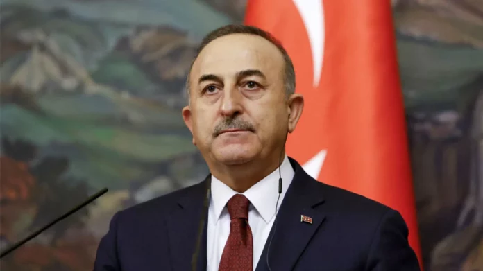 Τουρκία: Η Άγκυρα καταδικάζει τη συμμετοχή Γάλλων πολιτικών σε διαδηλώσεις Κούρδων