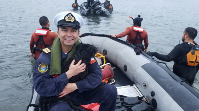 Χιλή: Διάσωση σκυλίτσας παγιδευμένης για μέρες σε απόκρημνα βράχια σε ποταμό – (VIDEO)