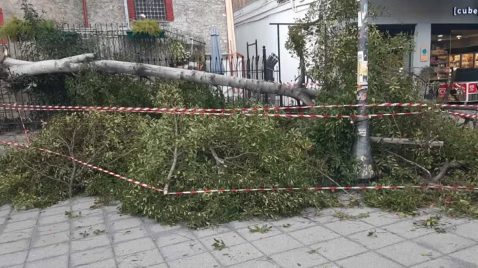 Καιρός: Η κακοκαιρία έπληξε και τη Θεσσαλονίκη – Πτώσεις δέντρων από τα ισχυρά μποφόρ