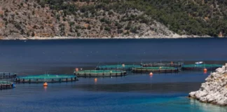 Αιτωλοακαρνανία: Πυροβολισμοί σε καταδίωξη λαθραλιέων στον Μύτικα