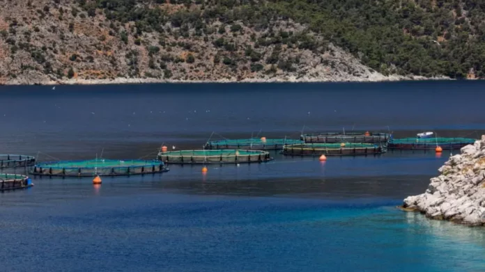 Αιτωλοακαρνανία: Πυροβολισμοί σε καταδίωξη λαθραλιέων στον Μύτικα