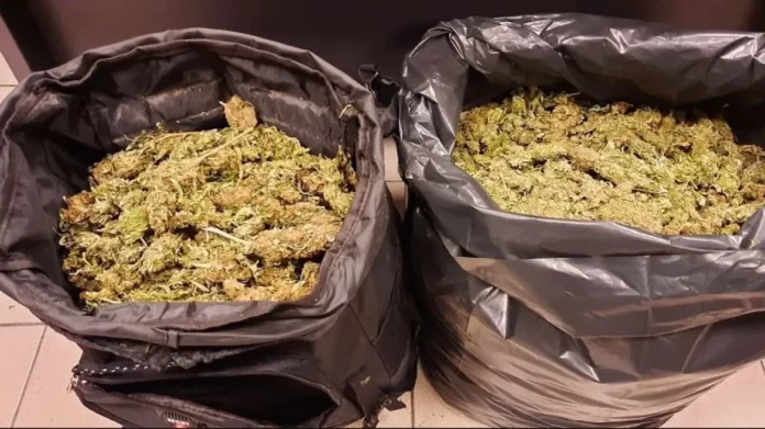 Ηράκλειο: Κακουργηματικές διώξεις στα τρία… σαΐνια που μετέφεραν 13 κιλά κάνναβη με οδική βοήθεια – (ΦΩΤΟ)