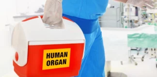 Τραγωδία στην Πάτρα: Πέθανε 28χρονος στον «Άγιο Ανδρέα» – Τα όργανά του δωρίζουν οι γονείς