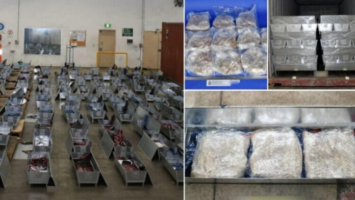 Κύπρος: Απάλλαξαν έμπορο ναρκωτικών με 628 κιλά MDMA