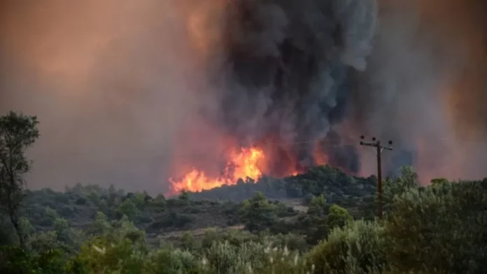Φωτιά τώρα σε δασική έκταση στη Λιβαδειά