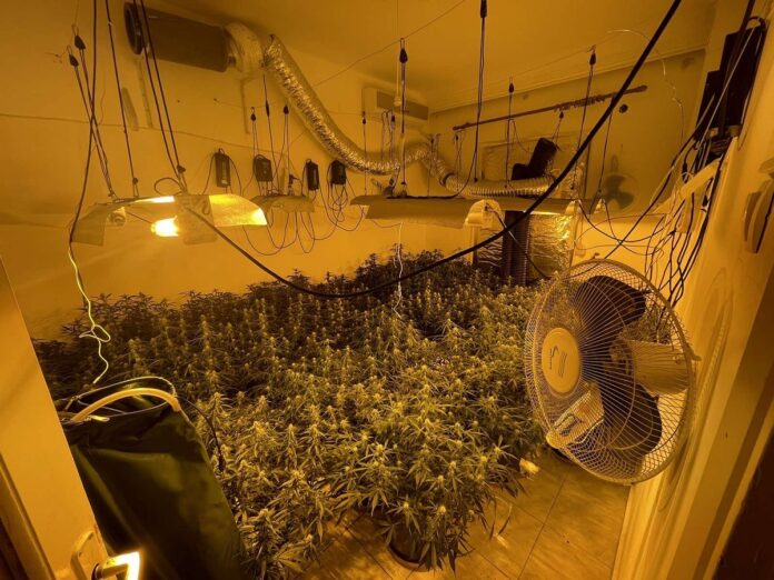 Θεσσαλονίκη: Μετέτρεψε το σπίτι σε εργαστήριο καλλιέργειας κάνναβης! Δείτε φωτογραφίες