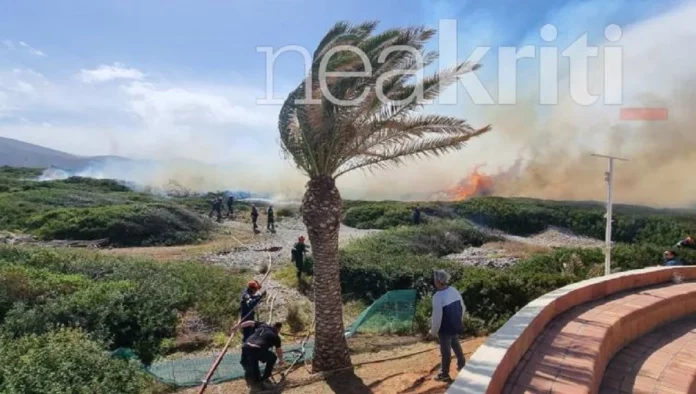 Κρήτη: Φωτιά στα Μάλια κοντά σε ξενοδοχείο – Συναγερμός στην πυροσβεστική