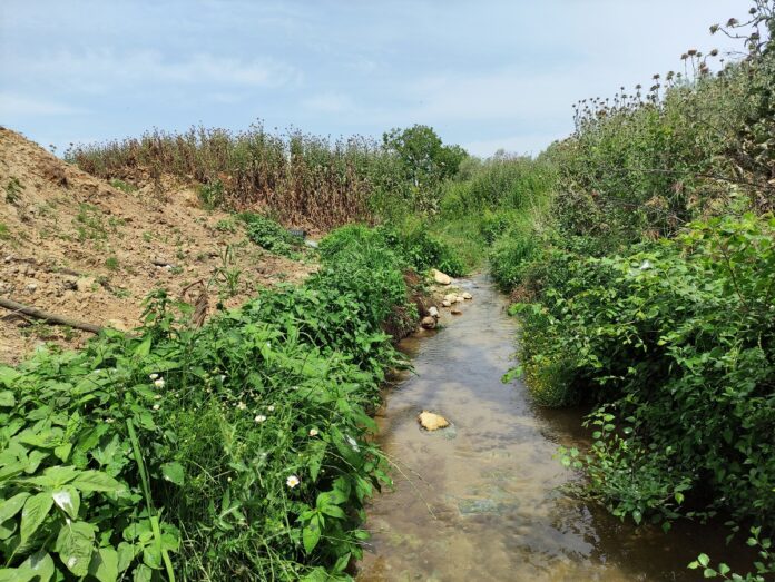 Πιερία: Εταιρεία έριχνε συστηματικά χιλιάδες τόνους αποβλήτων στον Θερμαϊκό Κόλπο