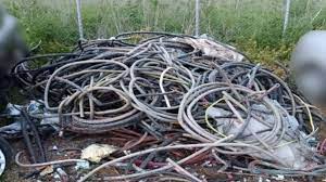 αρχείο λήψης (9)