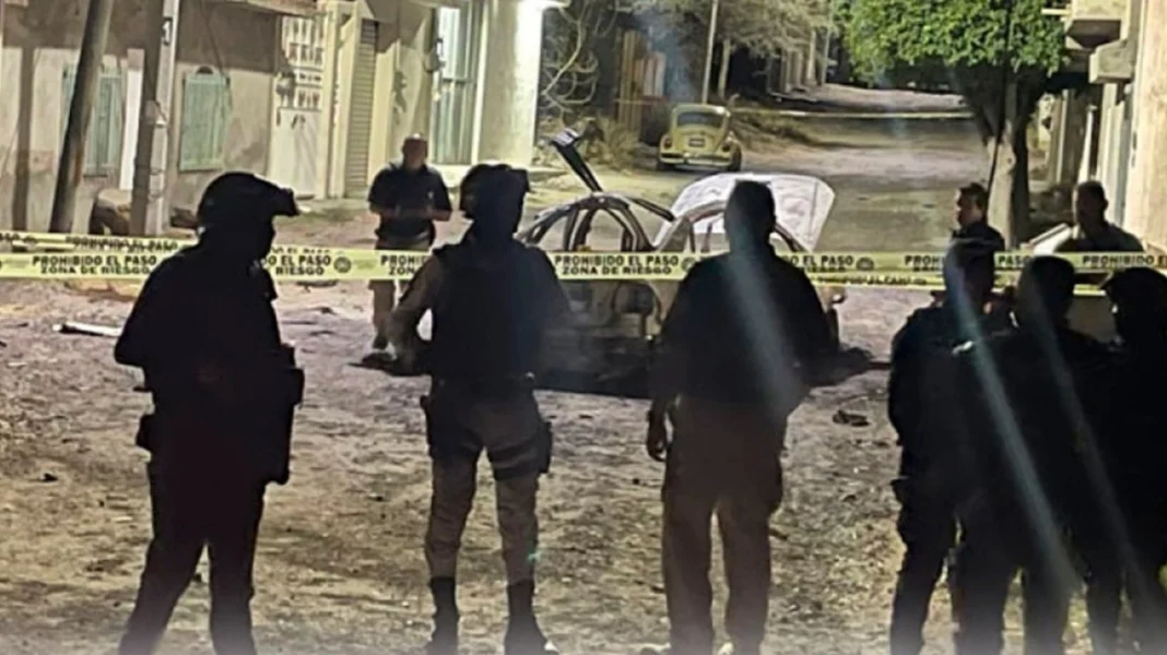 Collage_Maker-30-Jun-2023-05-04-AM-9933