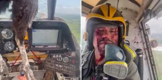 Εκουαδόρ: Τεράστιο πουλί προσέκρουσε σε αεροσκάφος – Με αίματα αλλά… ατάραχος ο πιλότος