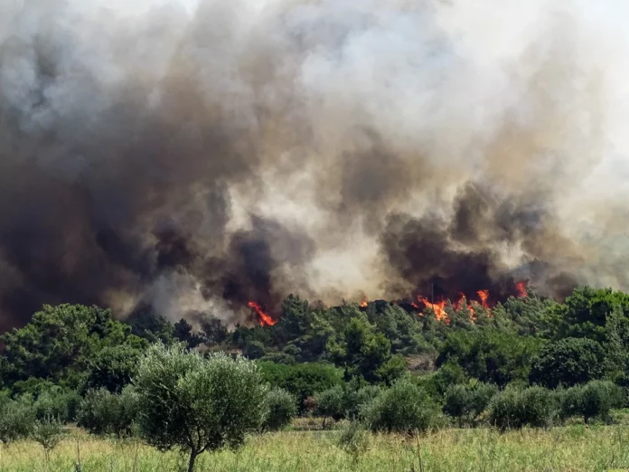 Ρόδος: Σε κατάσταση έκτακτης ανάγκης κηρύχτηκαν τρεις περιοχές! – Ανεξέλεγκτη η πυρκαγιά κατακαίει τα πάντα