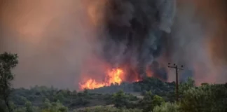 Φωτιά: Πύρινο μέτωπο στο Νέο Μοναστήρι Φθιώτιδας