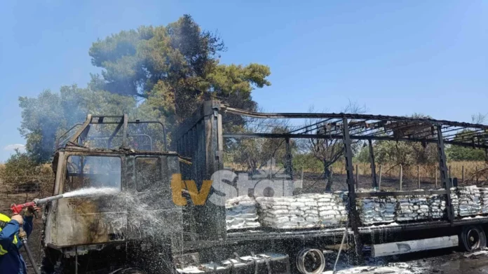 Οινόφυτα: Κάηκε ολοσχερώς νταλίκα στην Εθνική οδό Αθηνών – Λαμίας