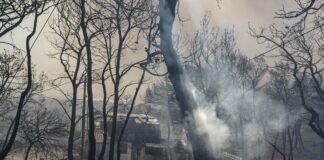 «Κάηκε» ακόμη μια φορά το επιτελικό κράτος με τις πρώτες (αναμενόμενες) φωτιές