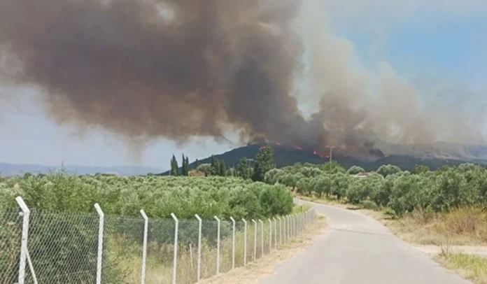 Φωτιά στη Λακωνία: Μεγάλη αναζωπύρωση στο Πυρί – (VIDEO)