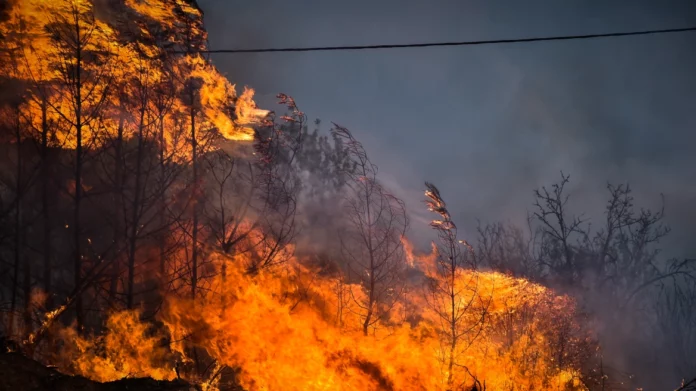 Ώρα 01:30 – Μήνυμα του 112 για εκκένωση των Μελισσατίκων Βόλου – Εικόνες σοκ