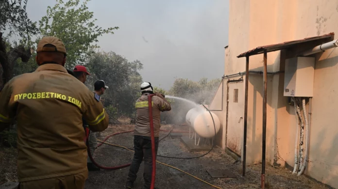 Φωτιά στην Μαγνησία: Μέσα στον Αύγουστο η πρώτη δόση των αποζημιώσεων στους πυρόπληκτους, λέει ο Τριαντόπουλος