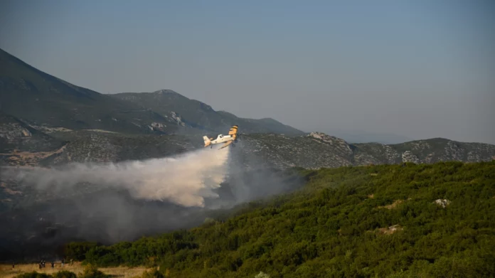 Φωτιά στη Μεσσηνία: Επιχειρούν έξι αεροσκάφη