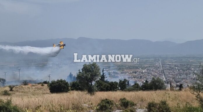 Λαμία: Συναγερμός για φωτιά δίπλα σε σπίτια – διατάχθηκε εκκένωση (φωτό – VIDEO)