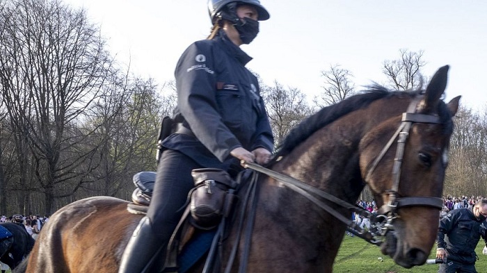 c52f1bd66cc19d05628bd8bf27af3ad6-1617380336