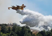 Φωτιά τώρα στην Καρδίτσα: Πυρκαγιά σε αγροτοδασική έκταση στη Μαραθέα Παλαμά