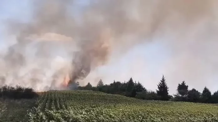 Φωτιά στο Διδυμότειχο κοντά σε κατοικημένη περιοχή