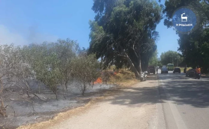 Φωτιά στη Ρόδο – Εκκενώθηκαν προληπτικά ξενοδοχειακές μονάδες-(VIDEO)