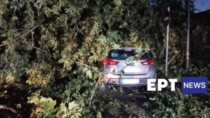 Σέρρες: Ξαφνικό μπουρίνι σάρωσε τον νομό, δέντρα καταπλάκωσαν αυτοκίνητα – Δείτε βίντεο και φωτογραφίες