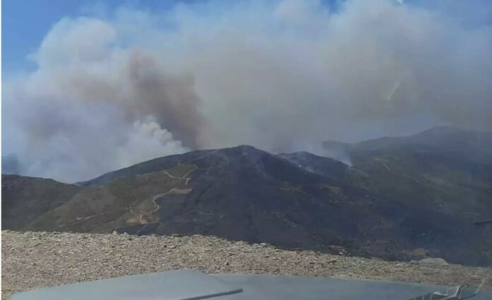 Φωτιά στην Κάρυστo: Αγνοείται κάτοικος του Πλατανιστού – Κάηκαν τα πρώτα σπίτια (video)