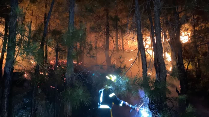 Ισπανία: Εκτός ελέγχου η φωτιά στο νησί Λα Πάλμα – Πάνω από 4.000 άνθρωποι έχουν εγκαταλείψει τα σπίτια τους