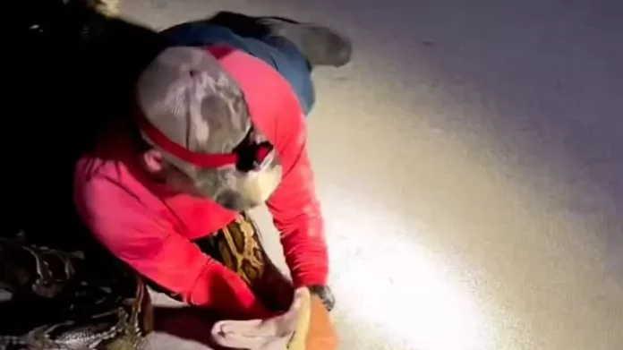 Φλόριντα: Η μάχη δύο κυνηγών με πύθωνα 6 μέτρων – Ο μεγαλύτερος που βρέθηκε ποτέ στην περιοχή