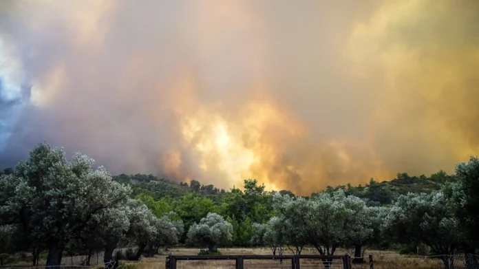 Λέκκας: Οι πέντε παράγοντες που συνέβαλαν στην πύρινη λαίλαπα της Ρόδου
