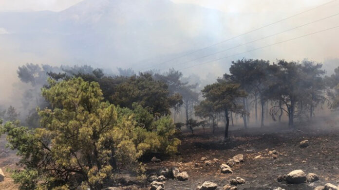 Μαίνεται το πύρινο μέτωπο στη Ρόδο – Καταφτάνουν δυνάμεις από Ρουμανία και Σλοβακία