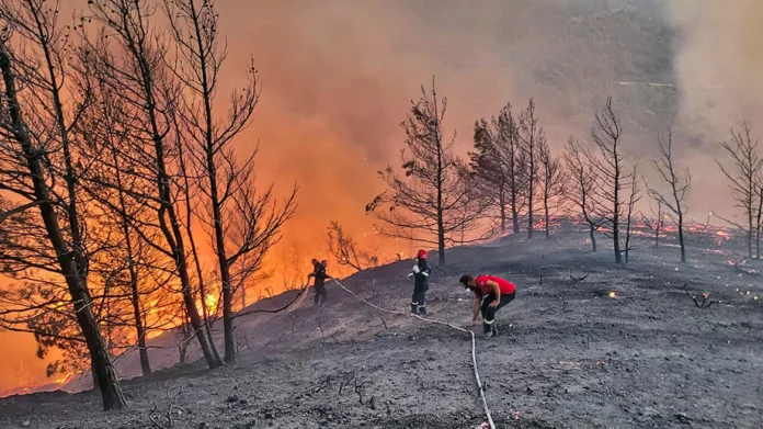 Φωτιά στη Ρόδο: Εκκενώθηκαν τρία χωριά και ένα ξενοδοχείο – Ανεξέλεγκτη η πυρκαγιά