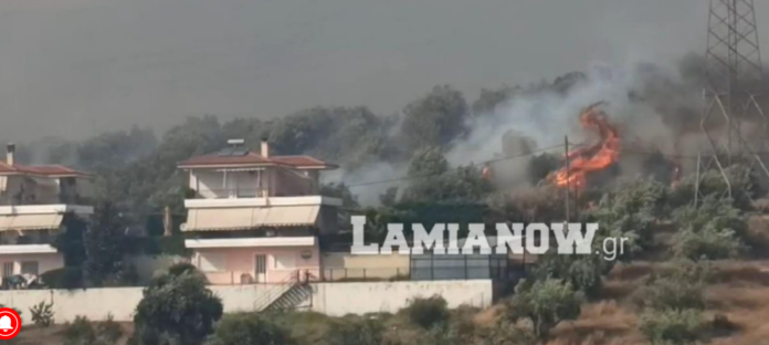 Φωτιά στη Λαμία: Τέσσερις τραυματίες – Στο νοσοκομείο δύο πυροσβέστες και δύο εθελοντές